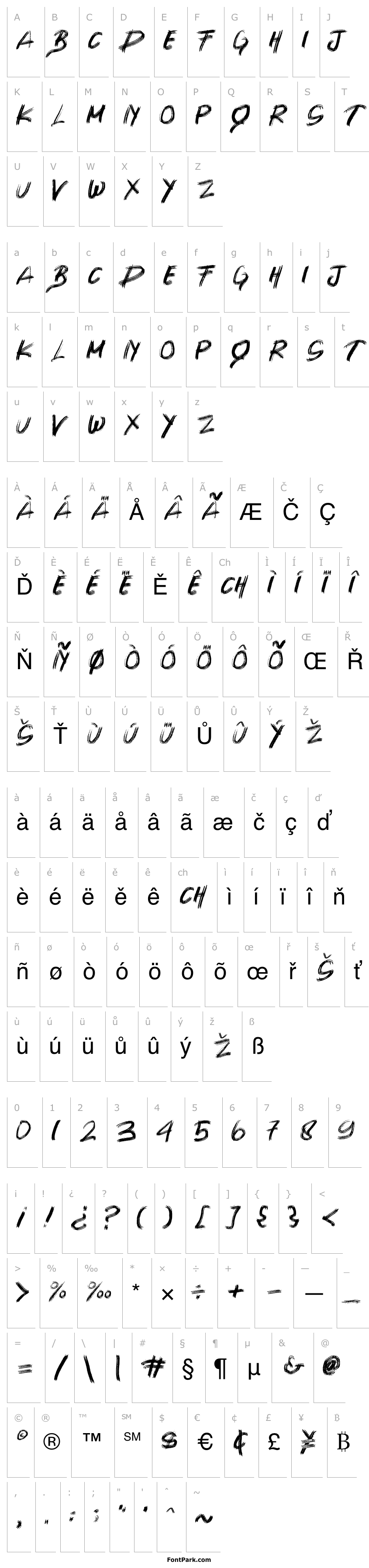 Overview SHIMASU BRUSH