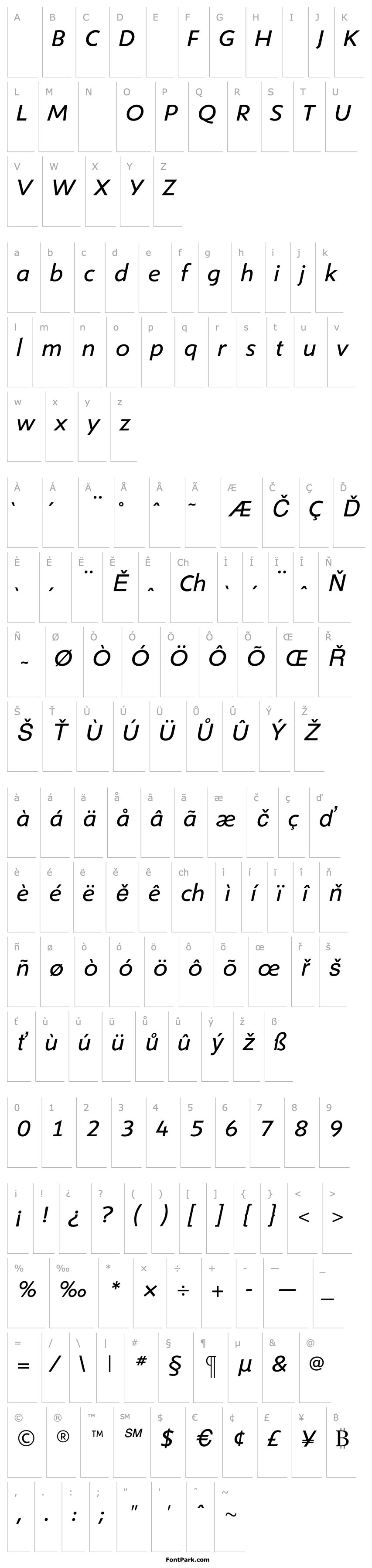 Overview ShinnBookItalic