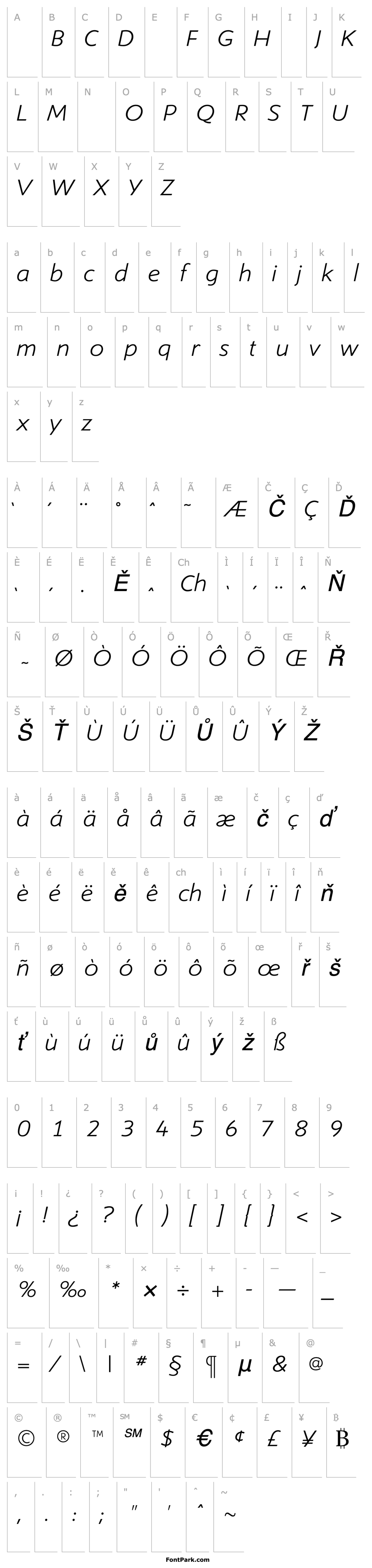 Overview ShinnLightItalic