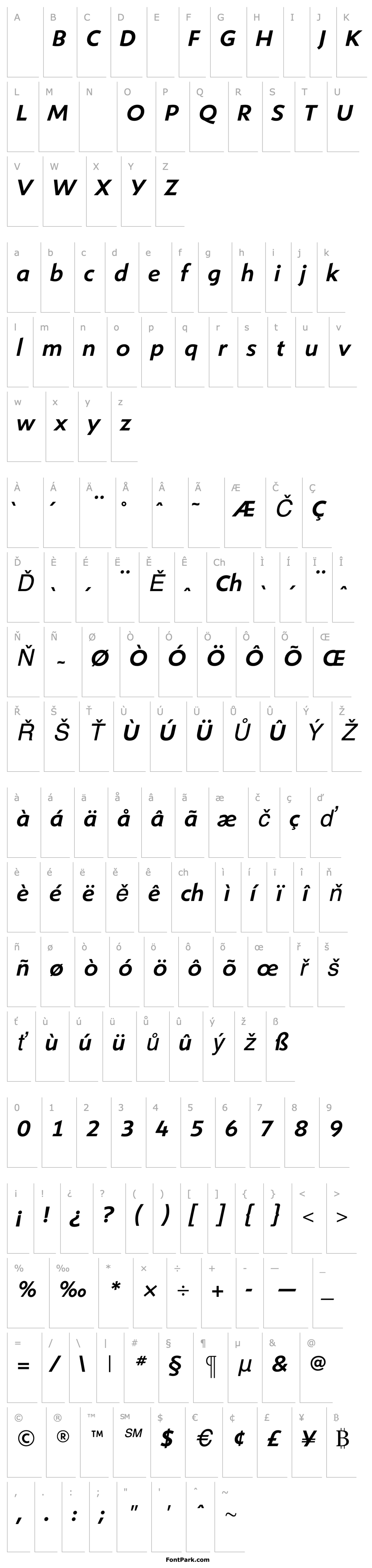 Overview ShinnMediumItalic