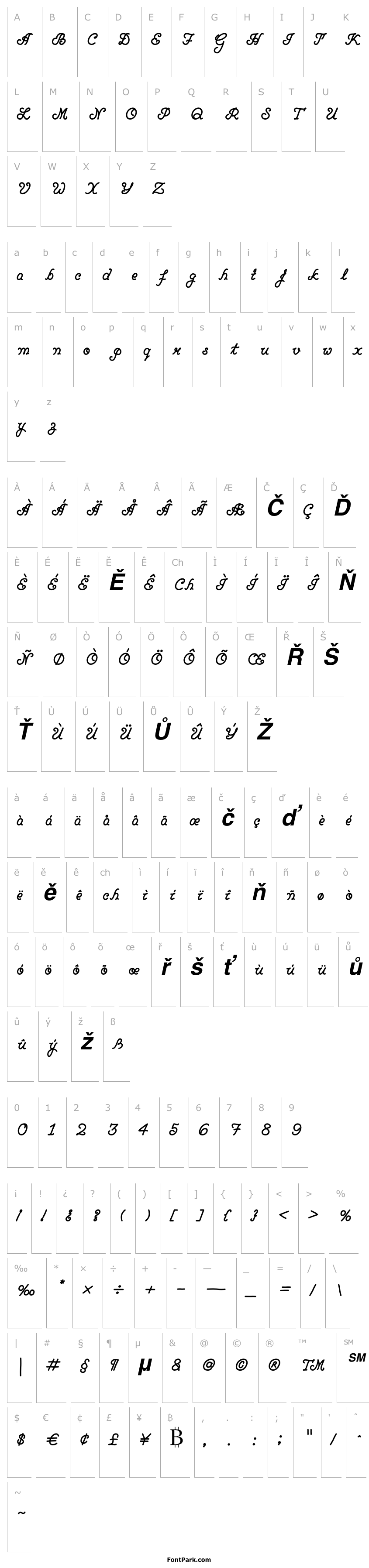 Overview ShoB Bold