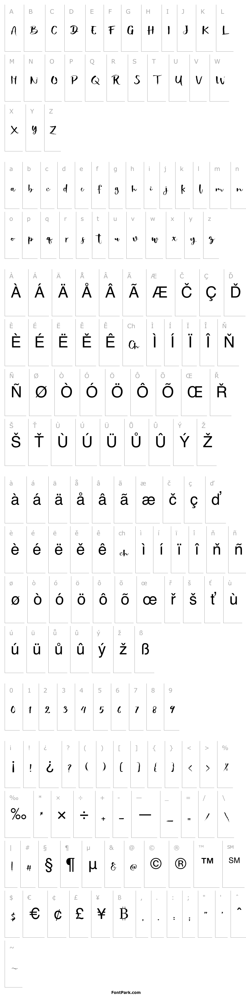 Overview ShowetyBrush