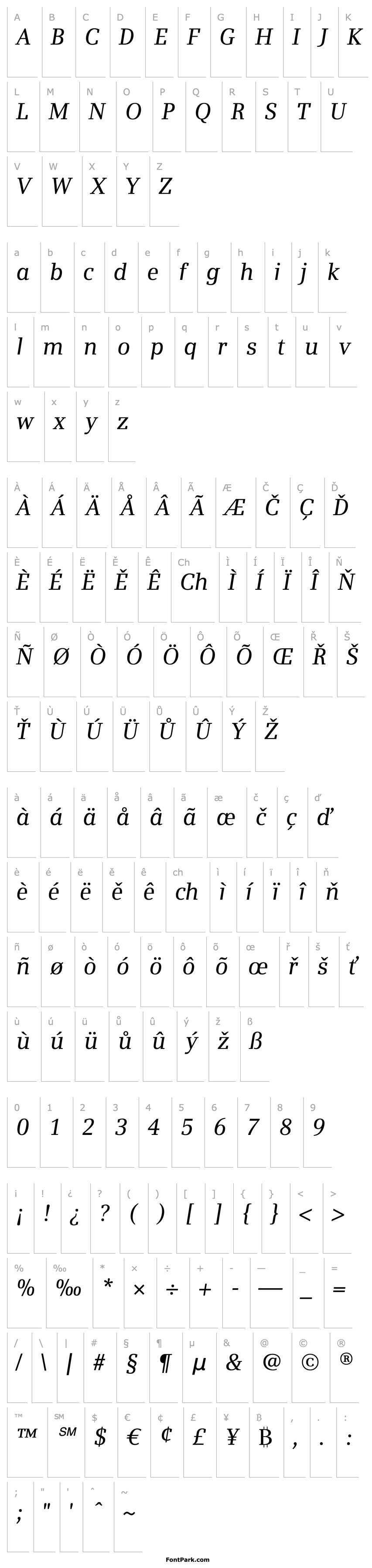 Overview Siemens Serif Italic