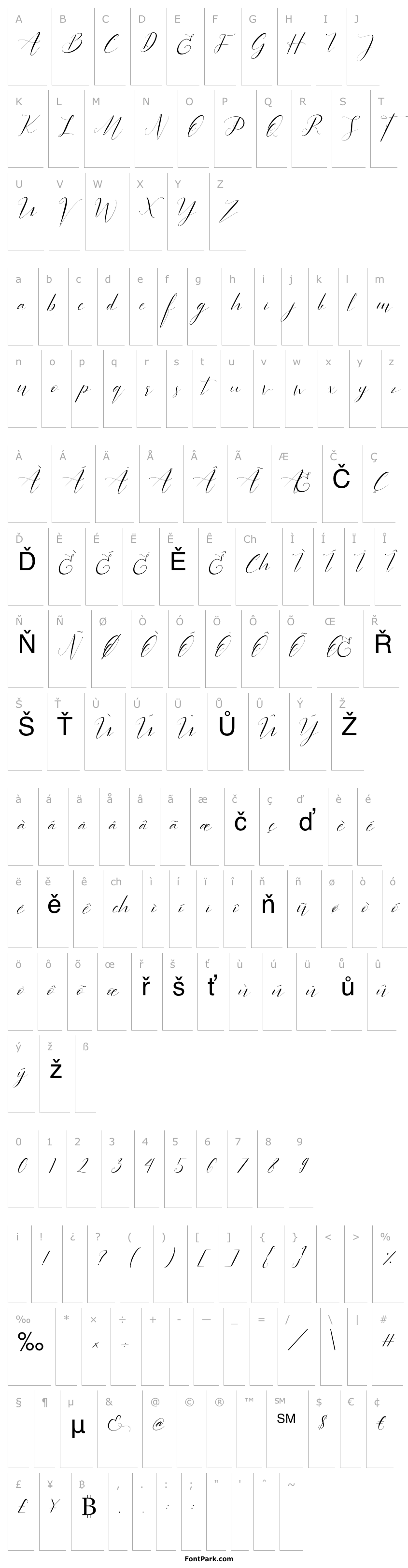 Overview Sientta Script