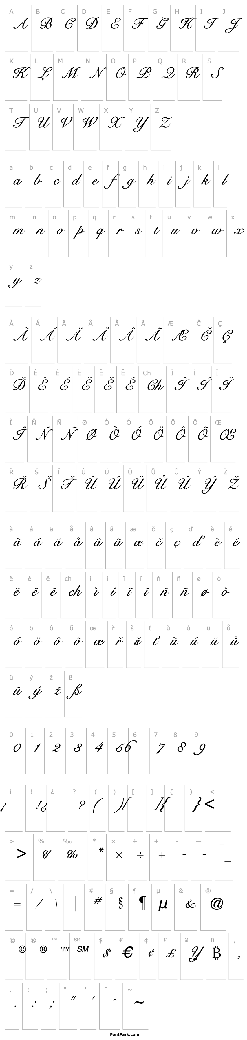 Přehled Signet Roundhand ATT Italic