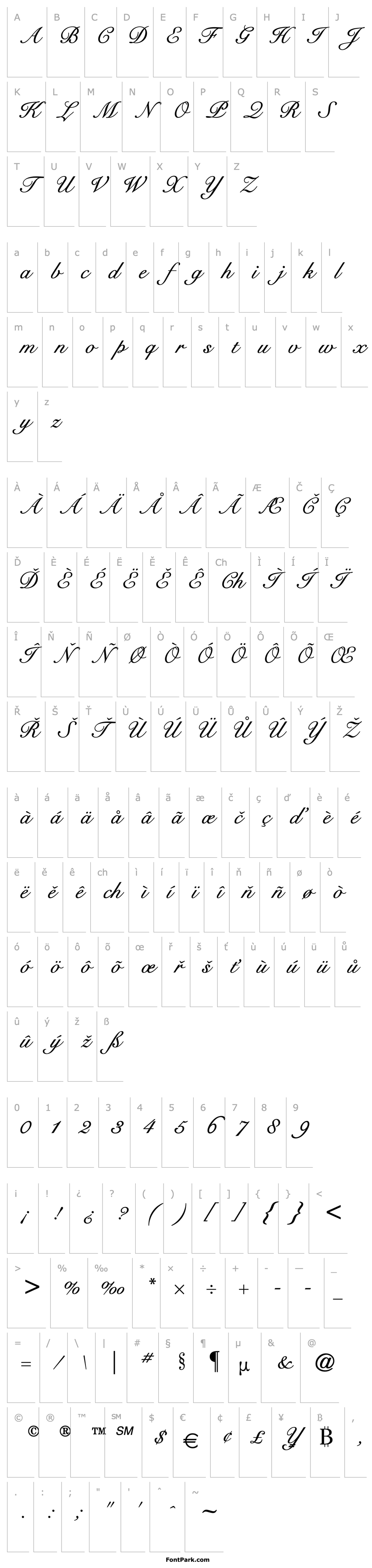 Overview Signet Roundhand Italic