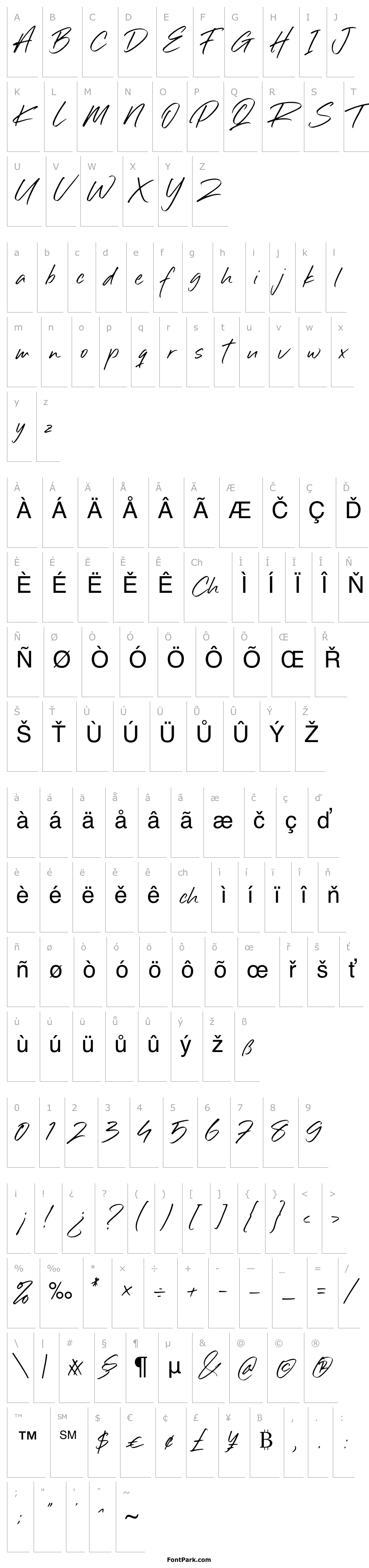 Přehled Sillii Willinn