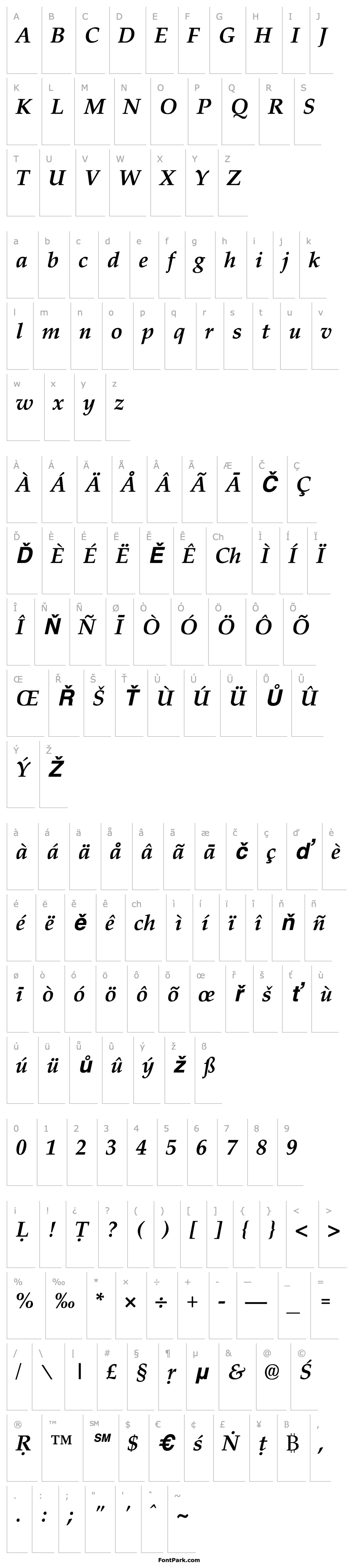 Overview Skt Palermo Bold Italic