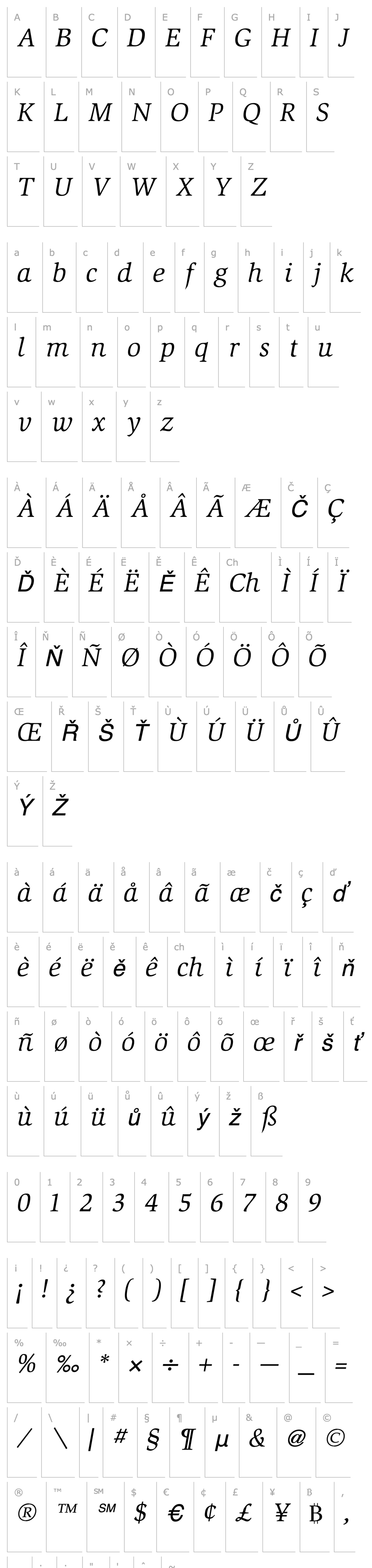 Overview SlimbachBookItalic