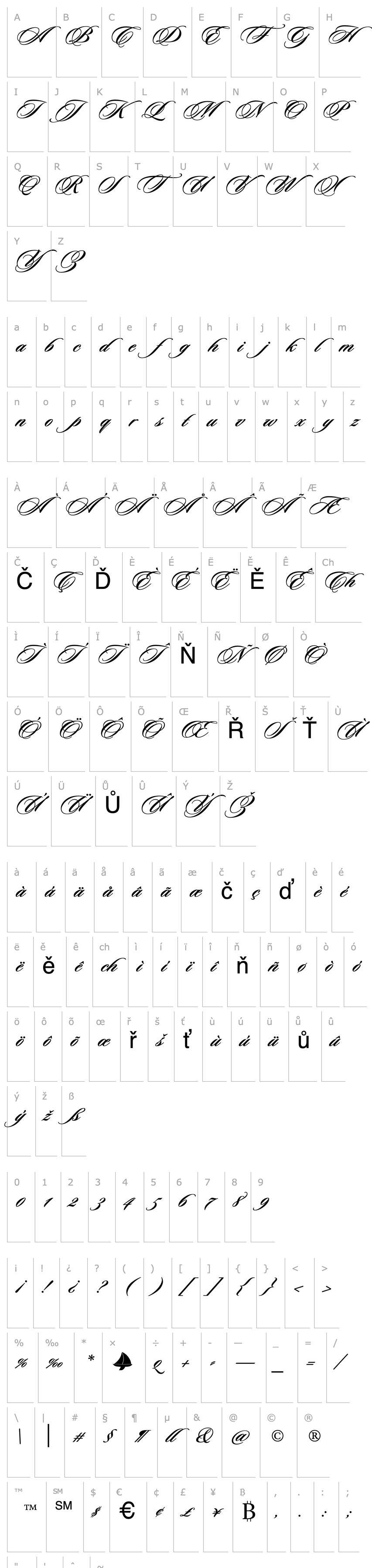 Přehled Sloop Script Bold Two