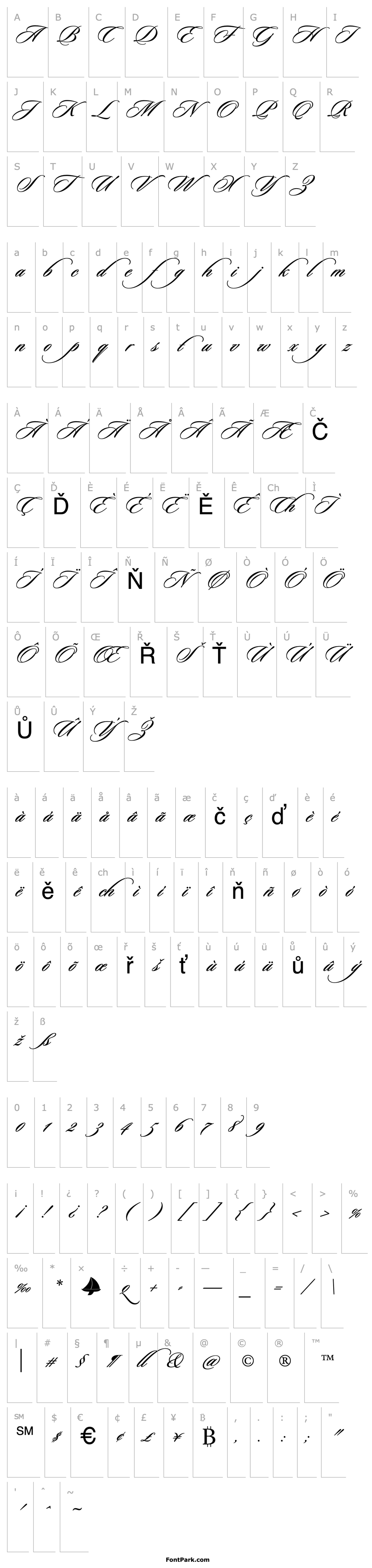 Přehled Sloop Script Three BETA Medium