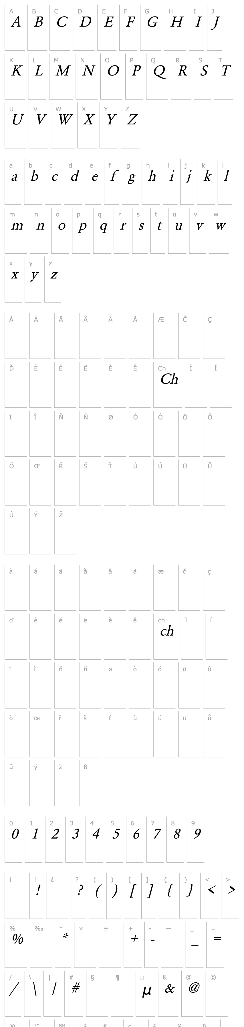 Overview Smedley Italic Lite