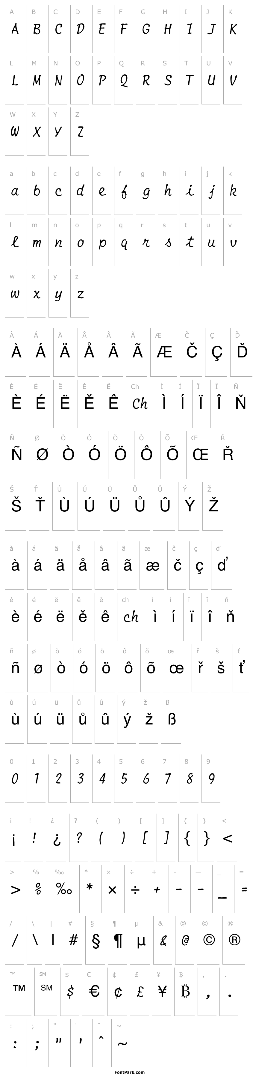 Overview Smith-Corona EC1100 Script