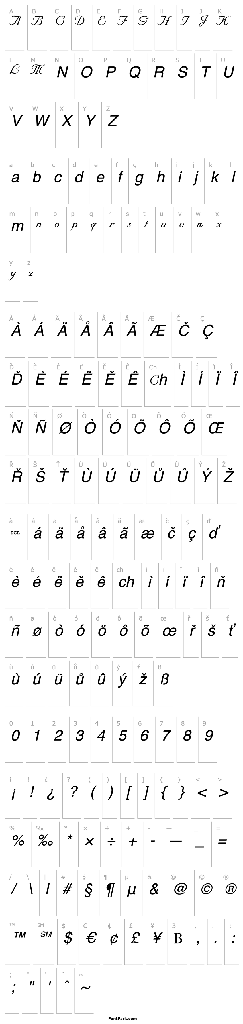 Overview SNC Script - DGL Italic