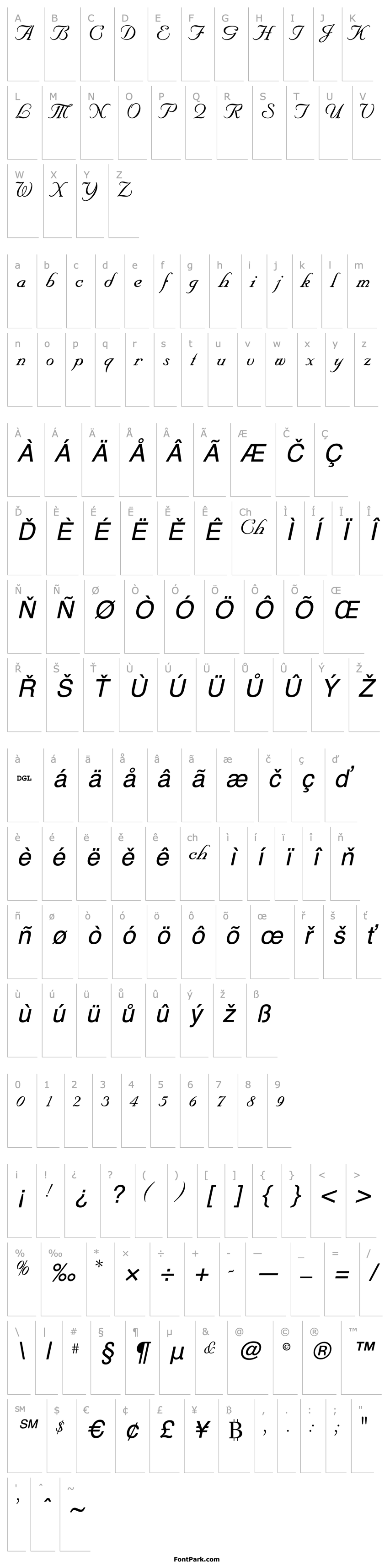 Overview SNC Script Italic