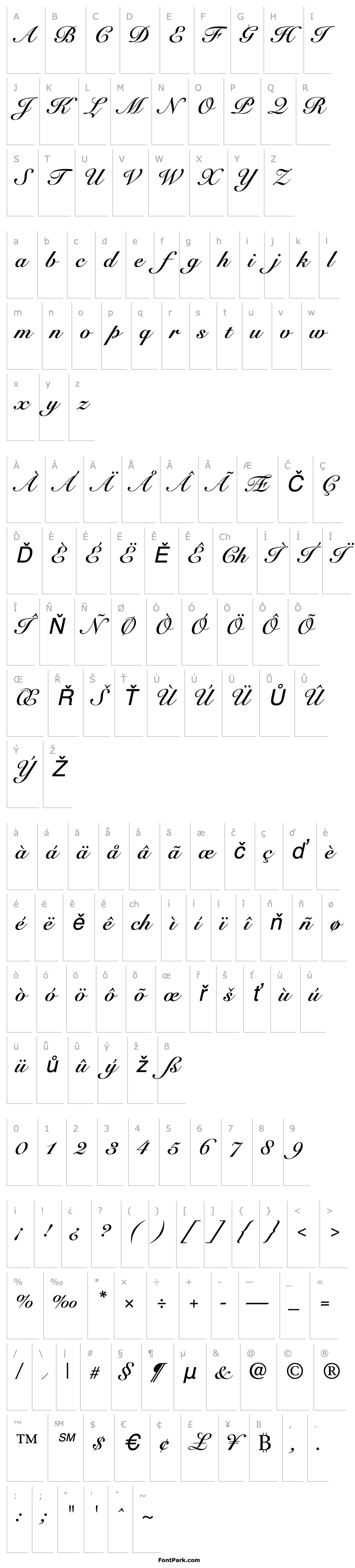 Overview Snell Roundhand Bold Script