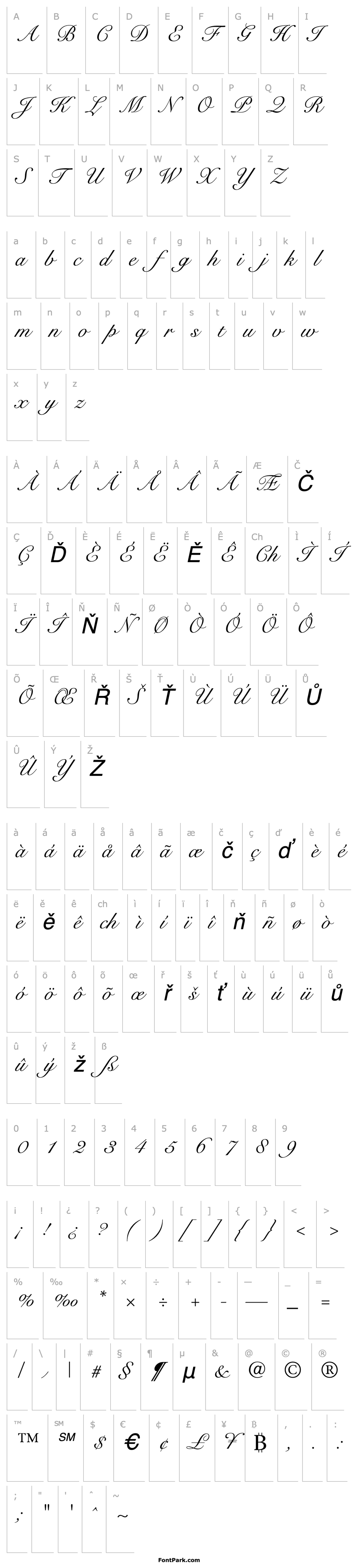 Přehled Snell Roundhand Script