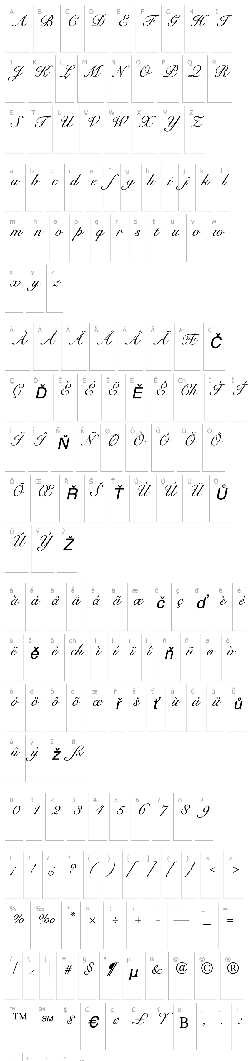 Overview SnellRoundhandScript