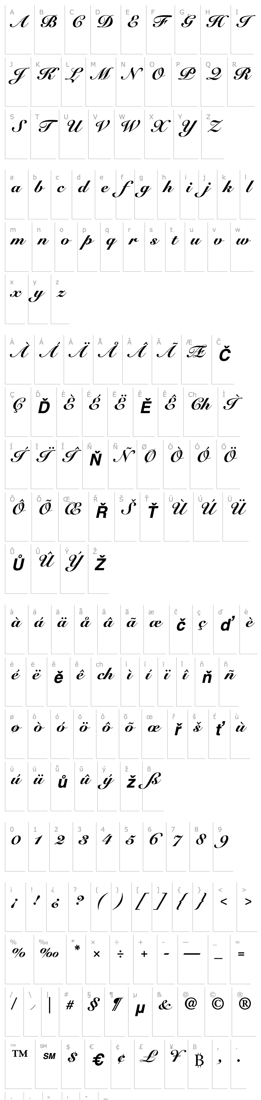 Přehled SnellRoundhandScript-Black