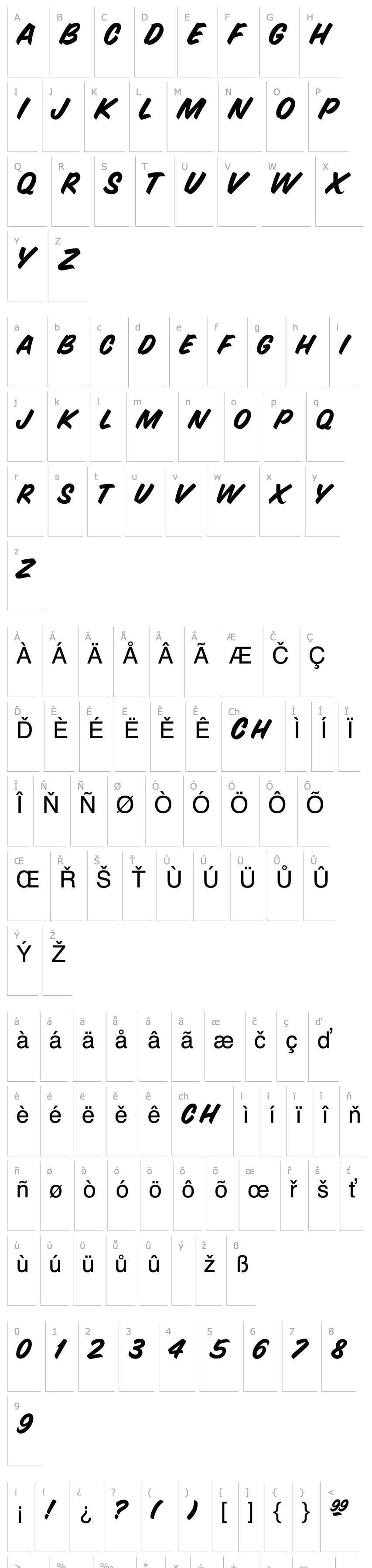 Overview Snyder Regular