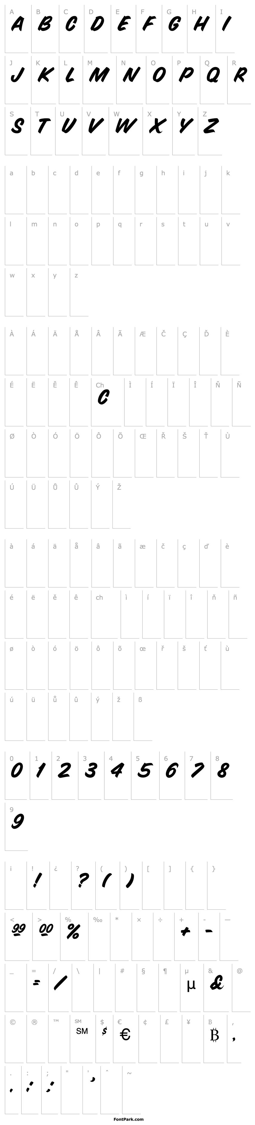 Overview SnyderSpeed