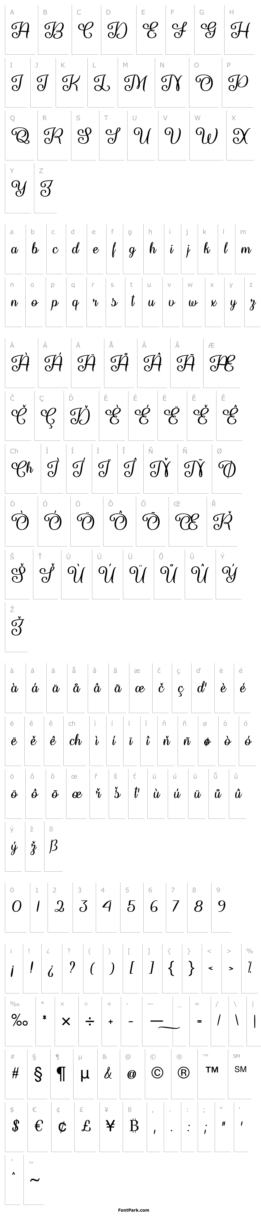 Overview So Damn Beautiful Regular