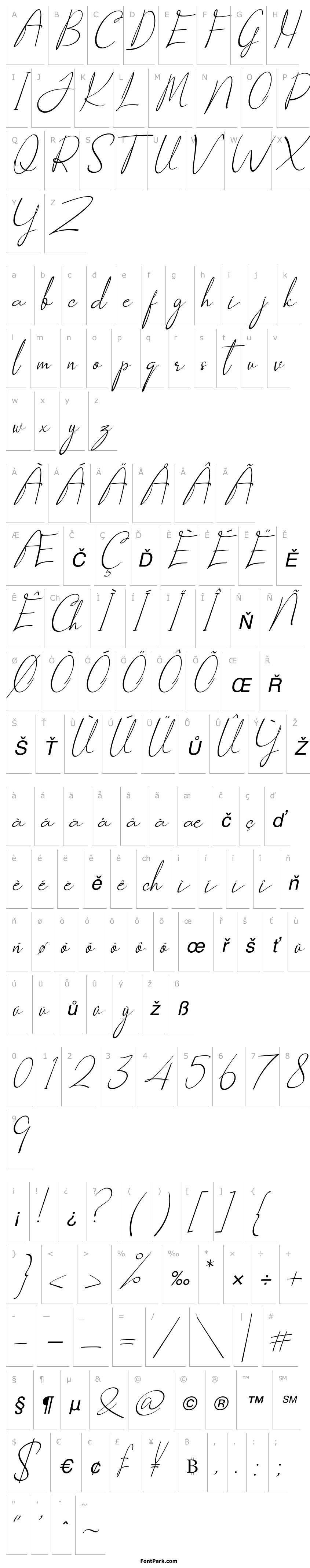 Overview Socialitta Italic