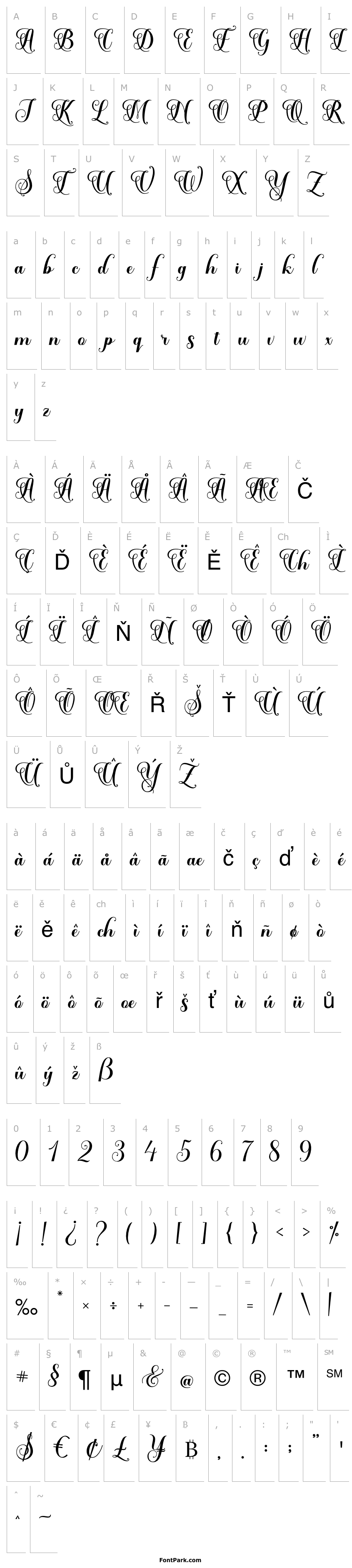 Přehled SolidaritasScript