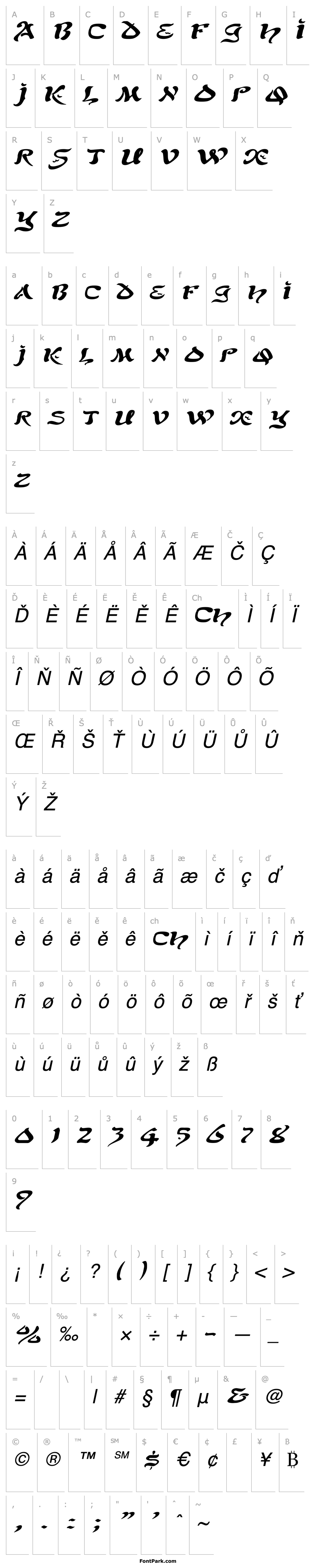 Přehled SolomonExtended Italic