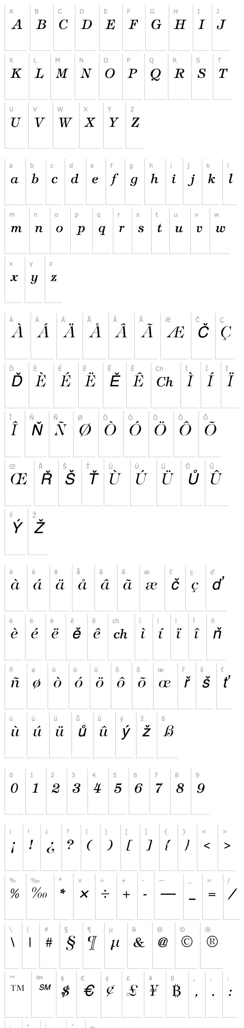 Přehled SophisticateLightSSK Italic