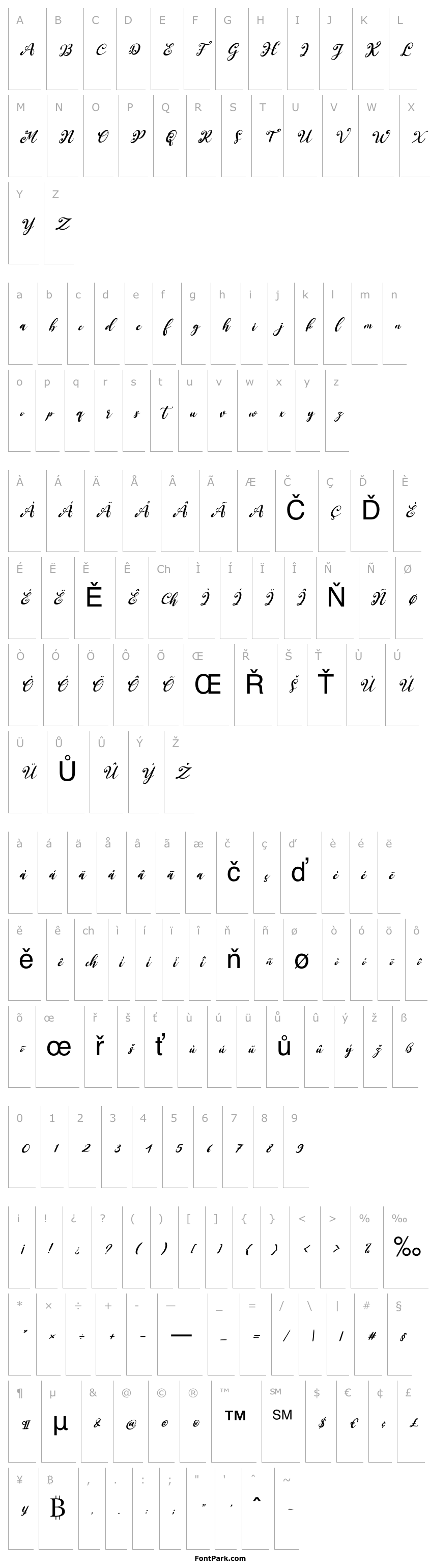 Přehled South Forest Italic
