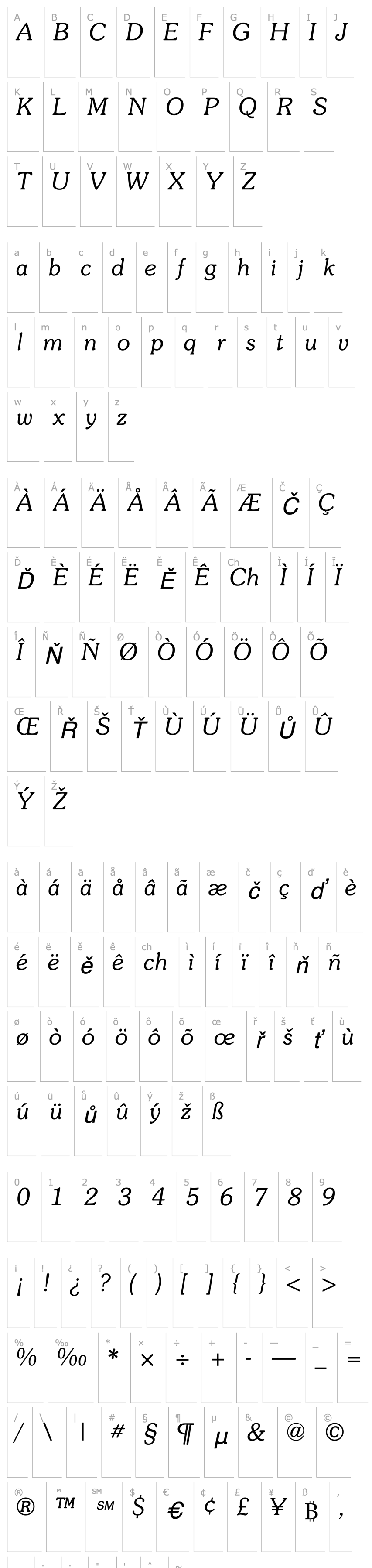 Overview Souvenir Light SSi Light Italic