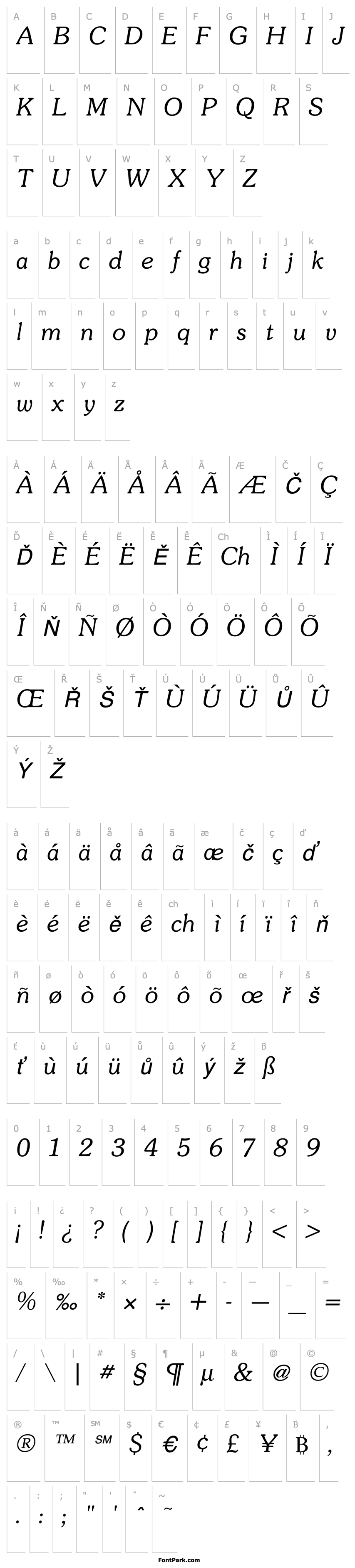 Overview Souvenir LightItalic