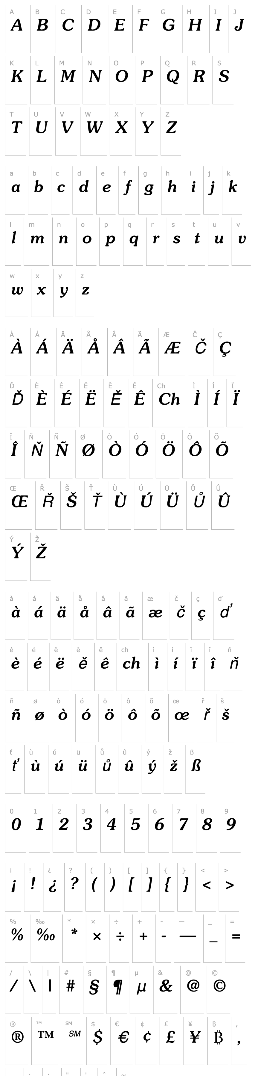 Overview Souvenir-MediumItalic