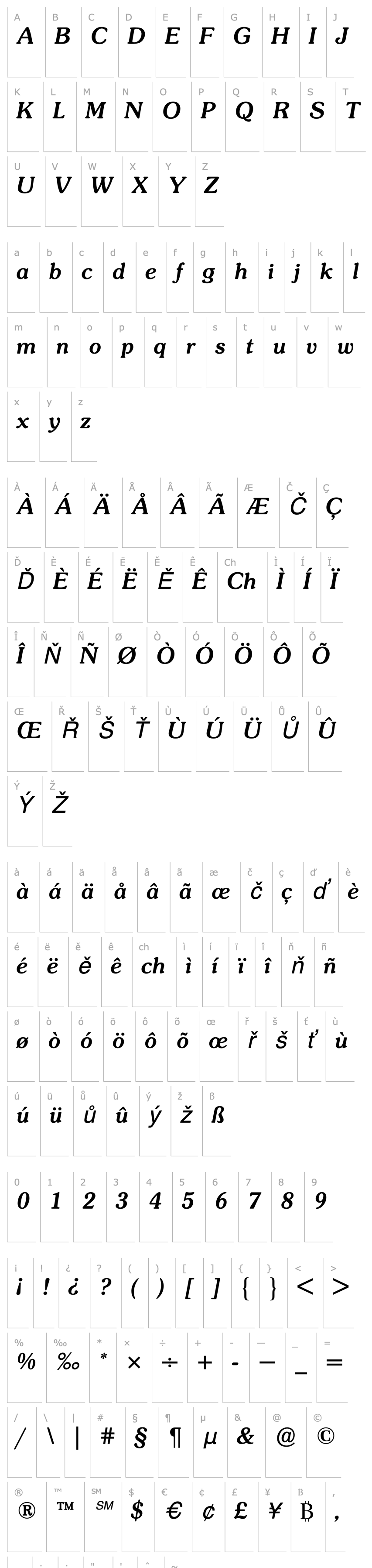 Overview SouvenirBQ-MediumItalic