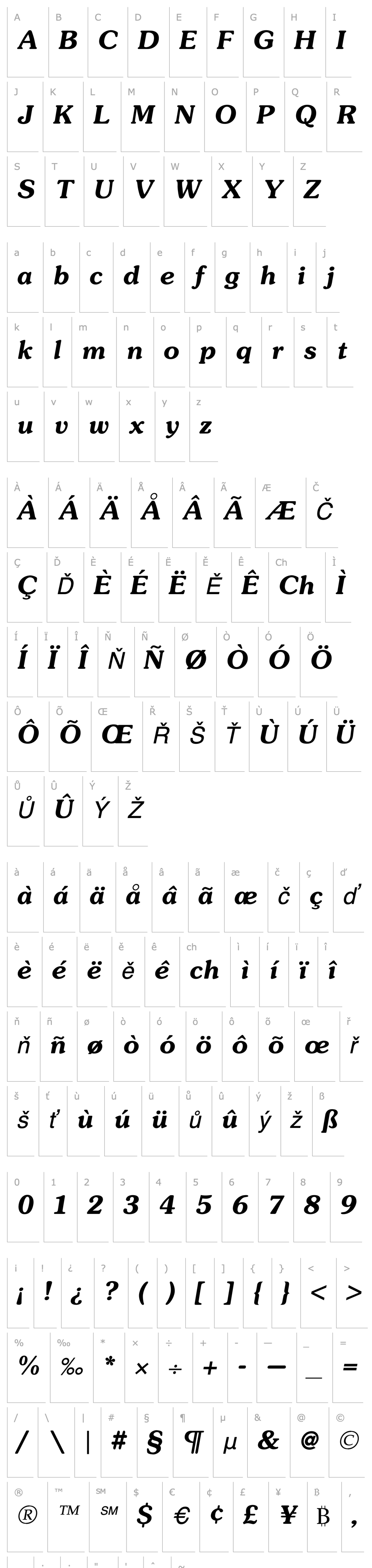 Overview SouvenirDemiItalic