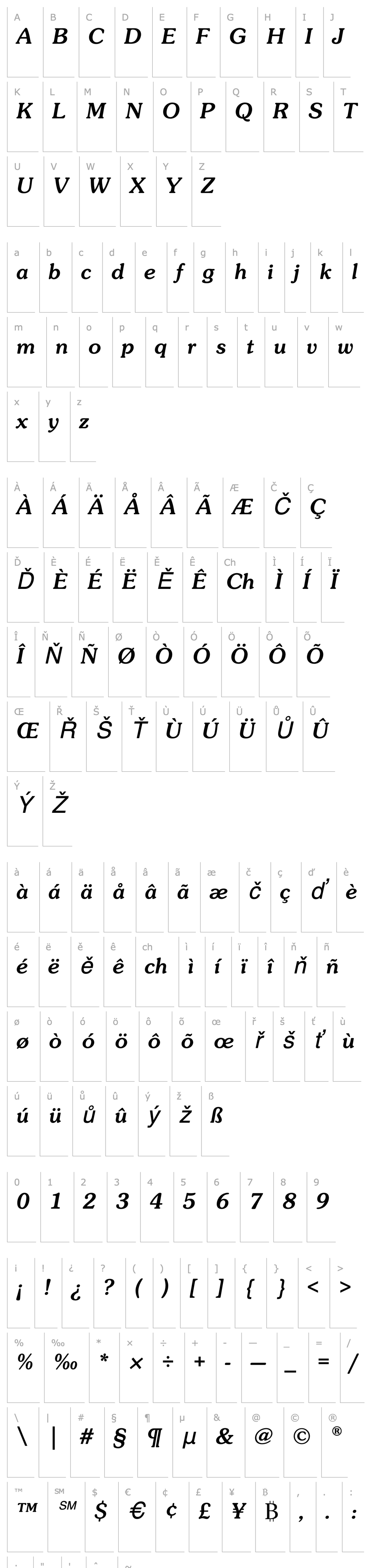 Přehled SouvenirEF-MediumItalic