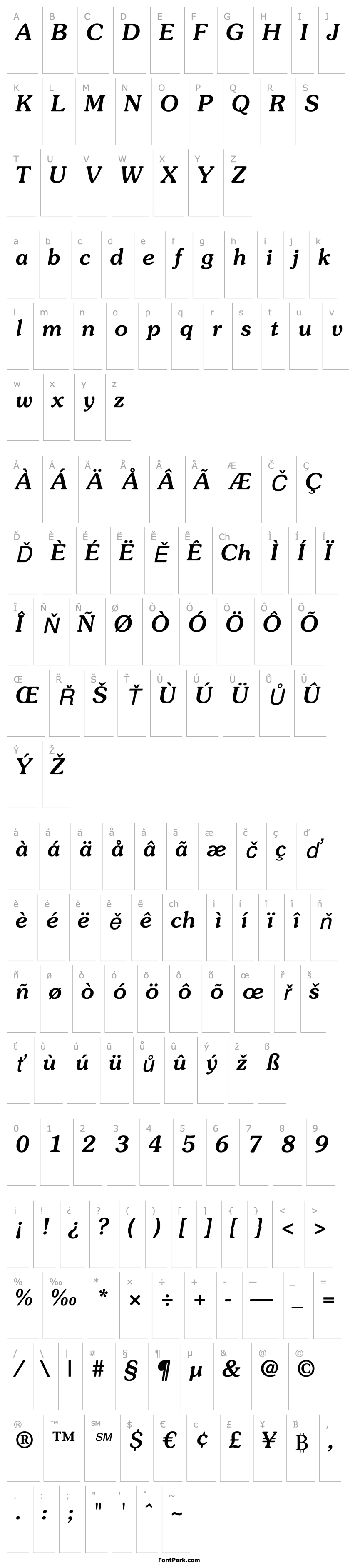 Přehled SouvenirStd-MediumItalic