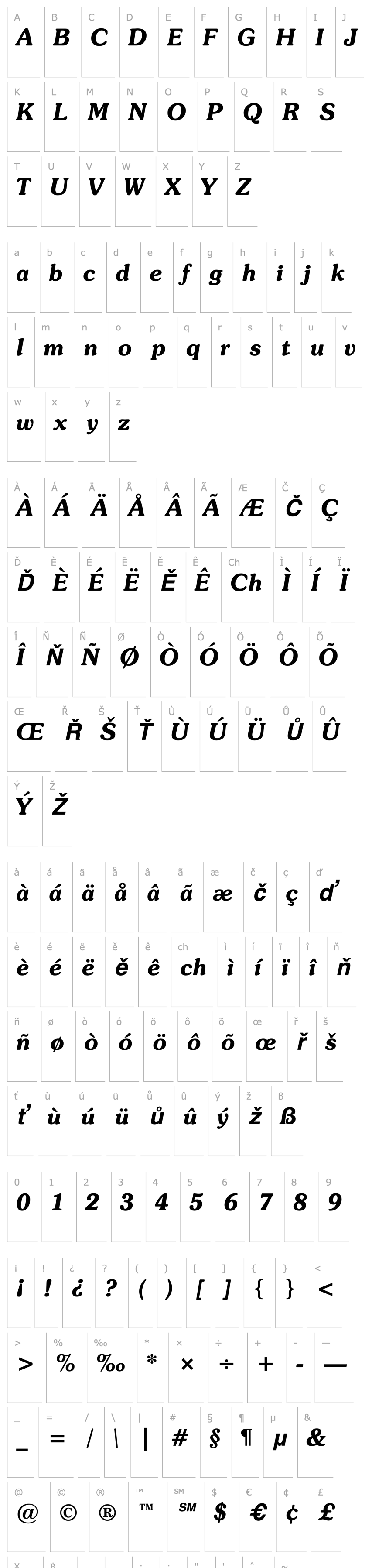 Overview Souvienne Bold Italic