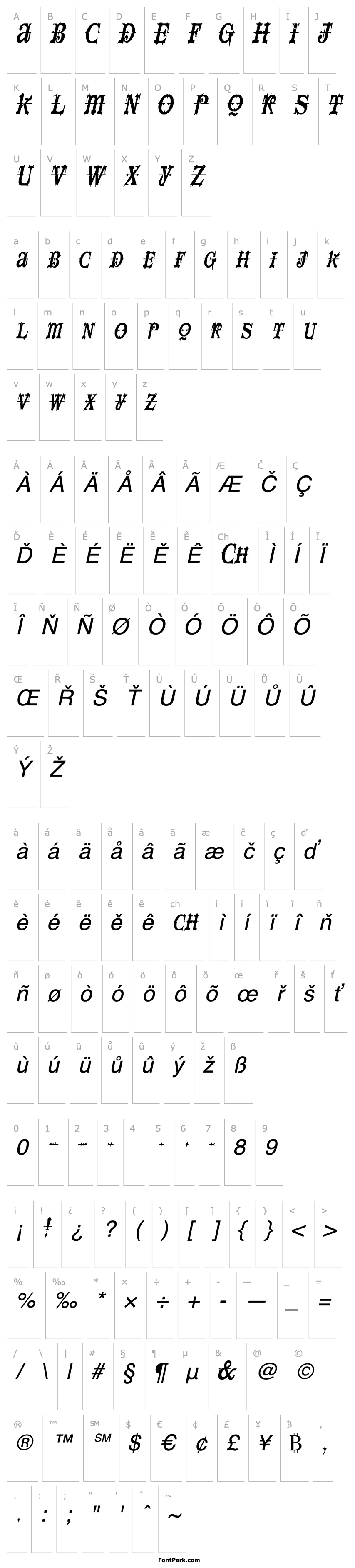 Overview SpaceIveyCondensed Italic