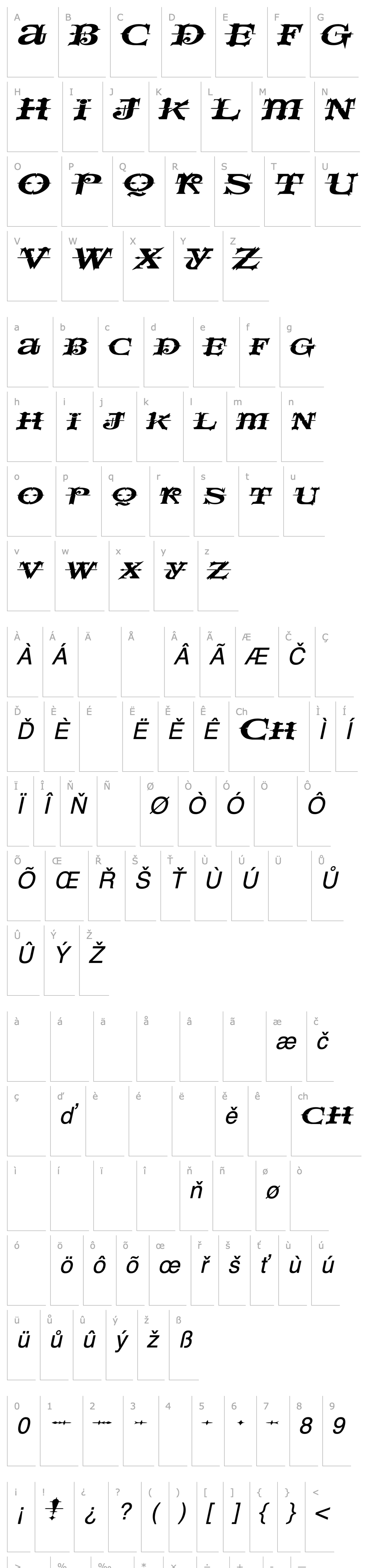 Přehled SpaceIveyExtended Italic