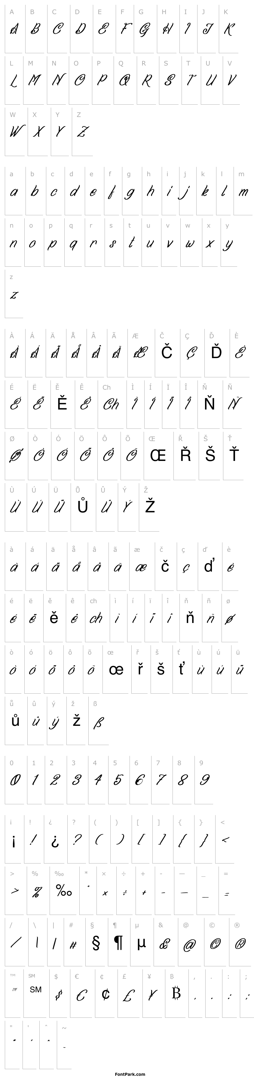 Přehled Spancer High Italic