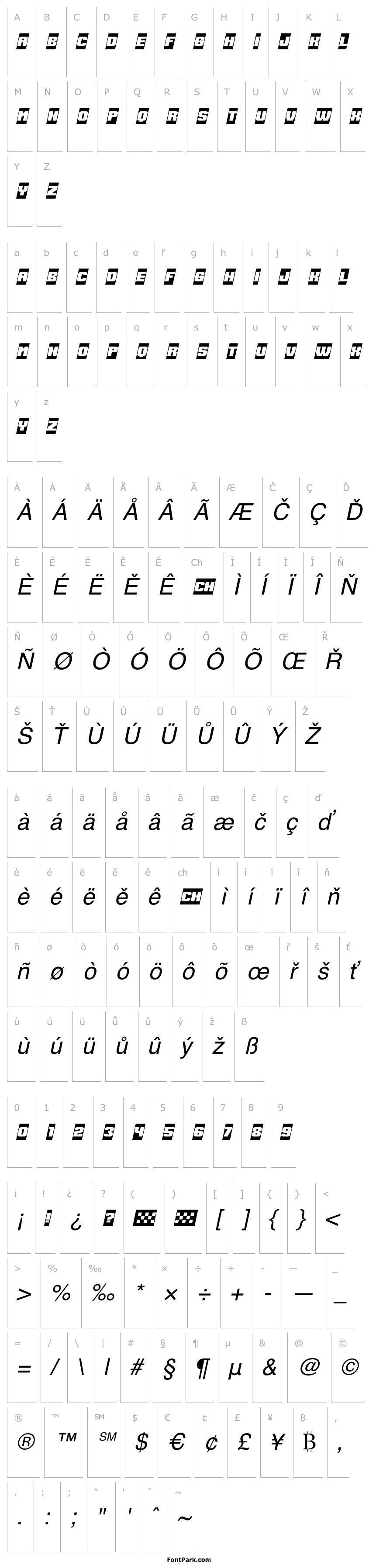 Overview Speed Racing Negative Italic