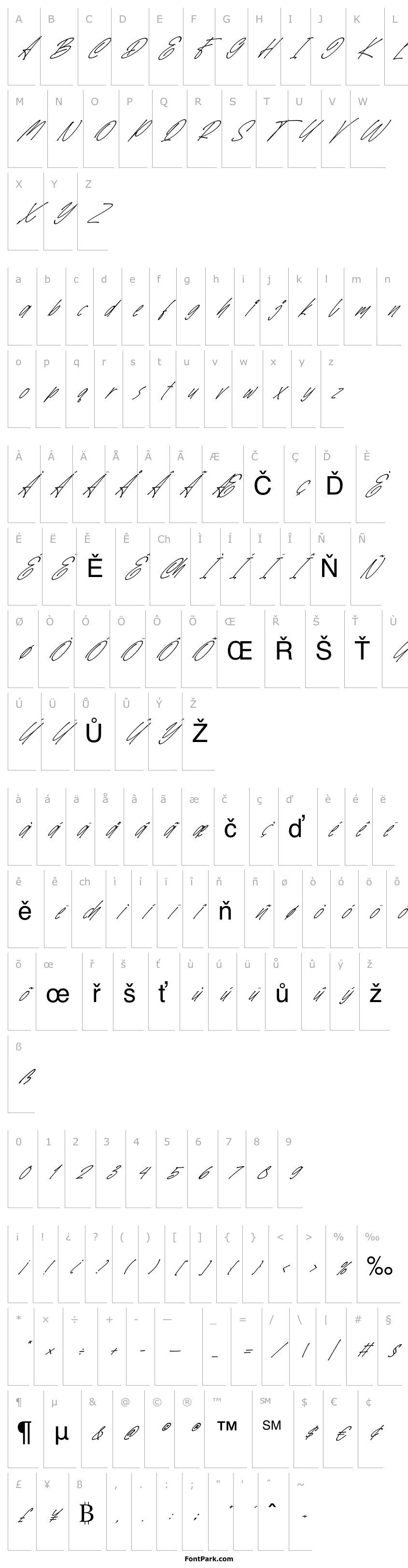 Overview SpeedWritten Italic