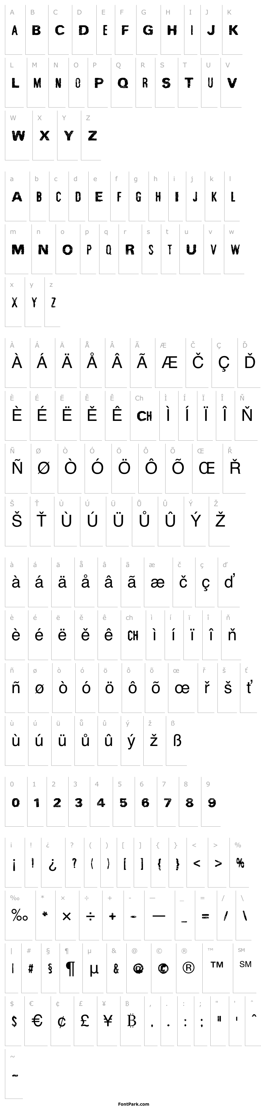 Overview SpiritGinger
