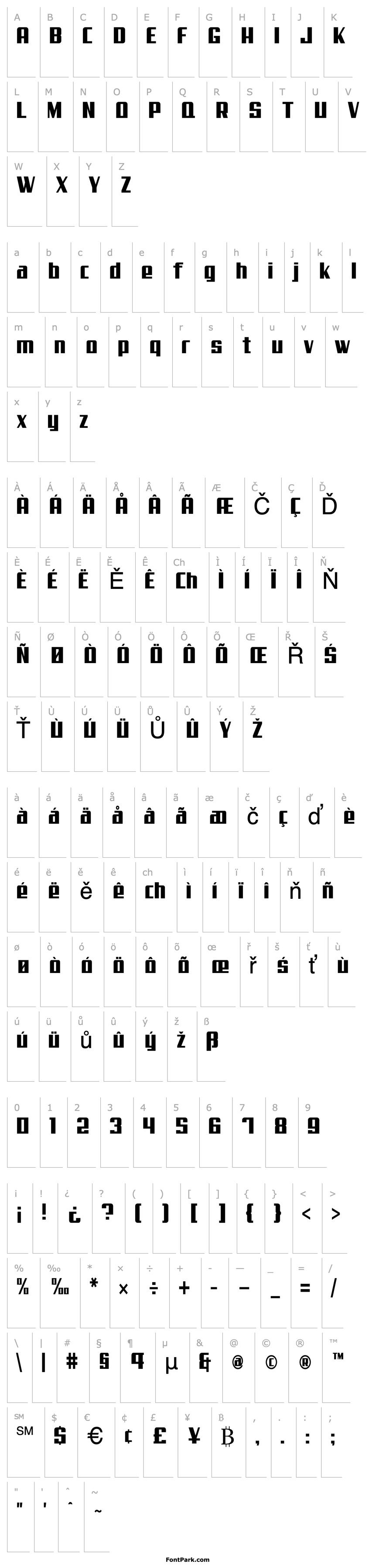 Overview SteadfastCondensed