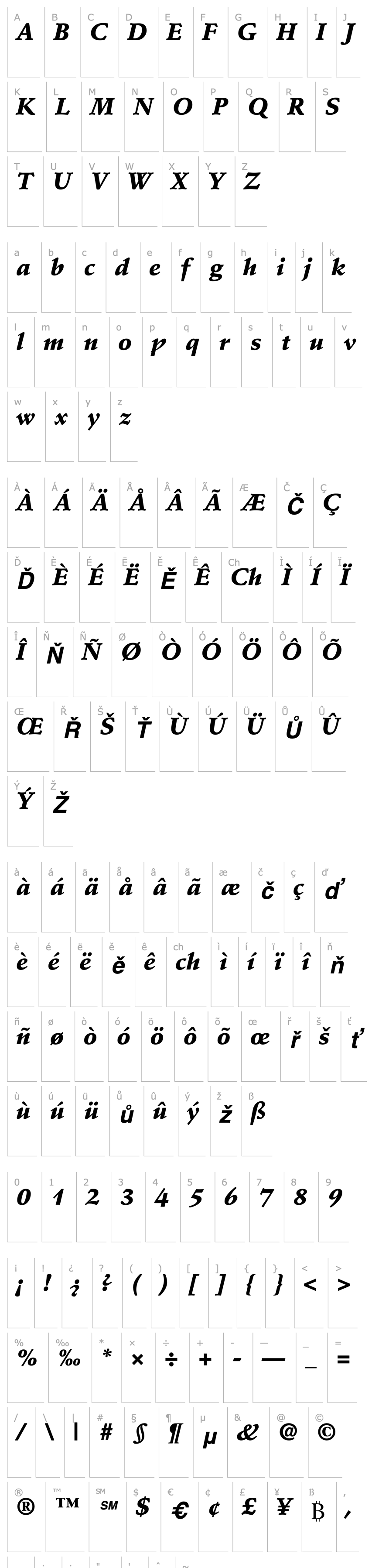 Overview StempelSchneidler-Black Italic