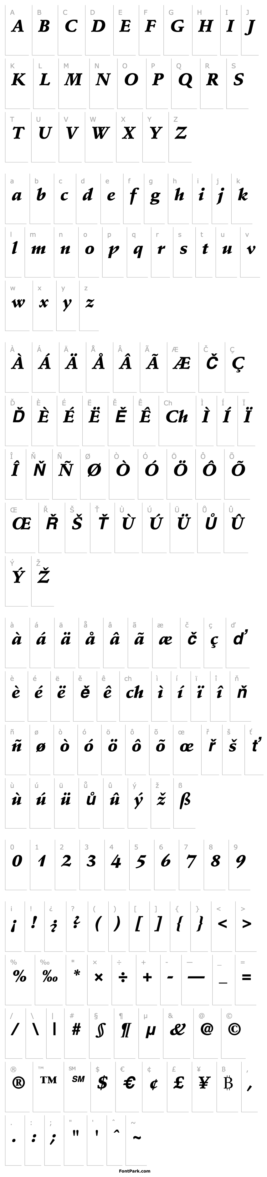 Overview StempelSchneidler-BlackItalic