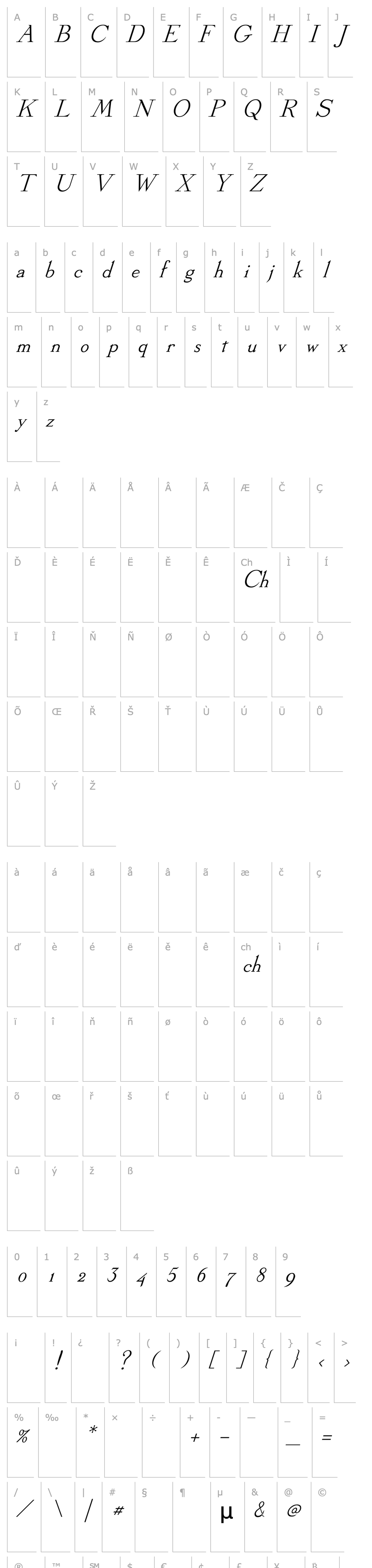 Overview Stickee-Italic