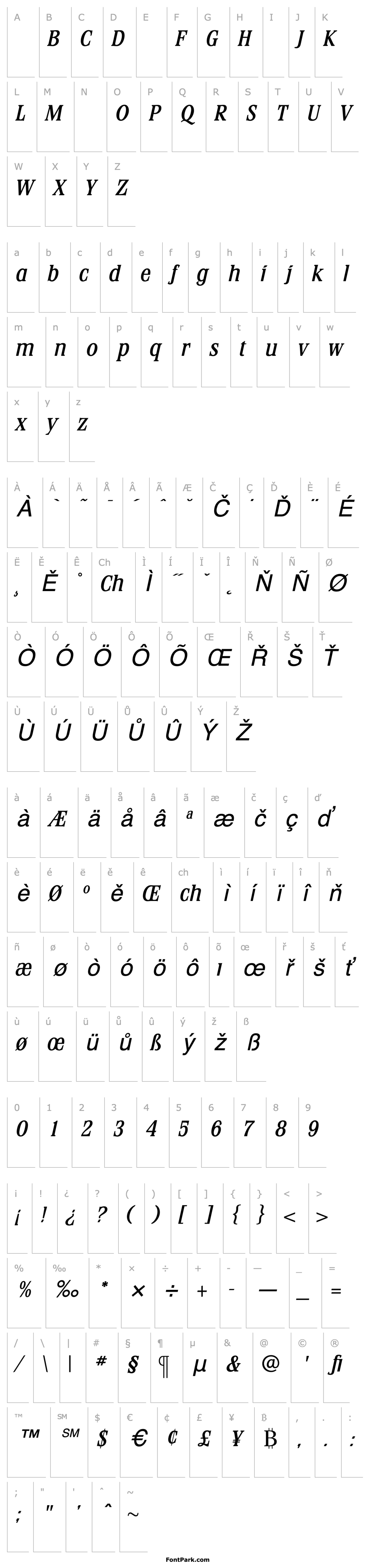 Přehled StirlingMediumItalic